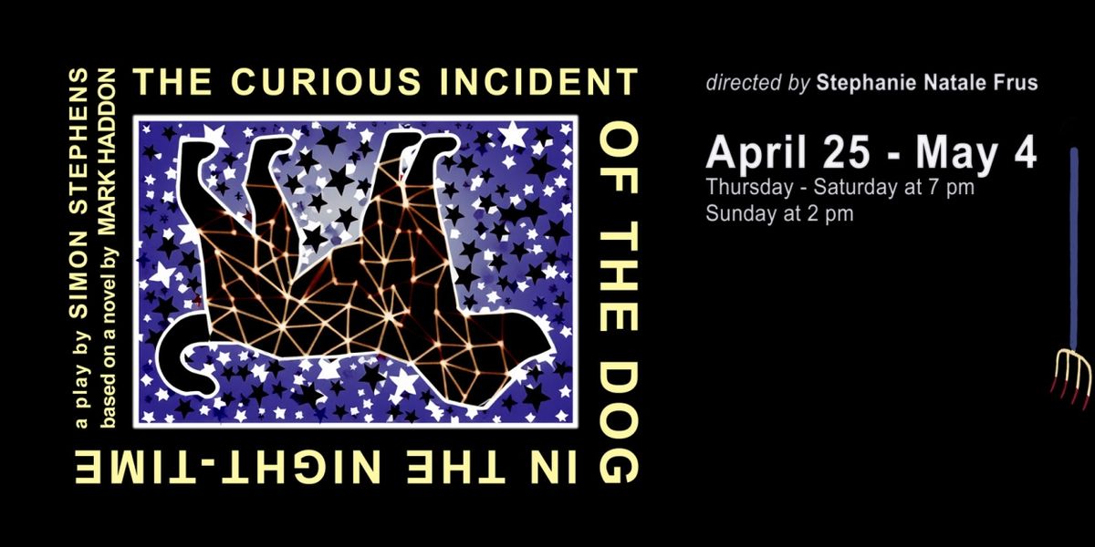 Cast Set for THE CURIOUS INCIDENT OF THE DOG IN THE NIGHT-TIME at Belfast Maskers