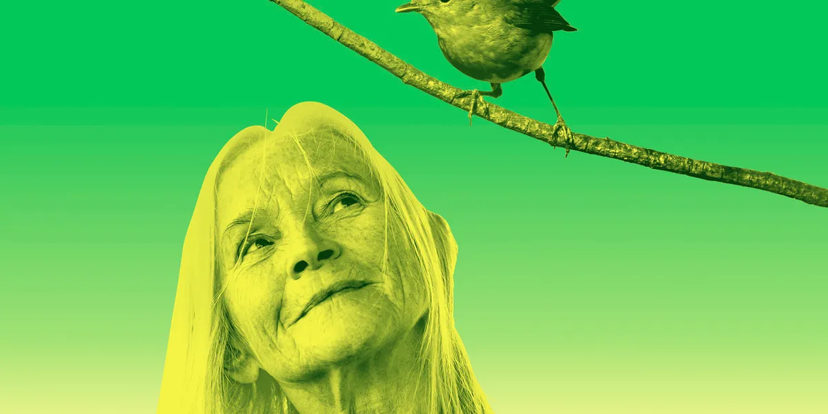Cast Set For CARE By Alexander Zeldin at The Young Vic
