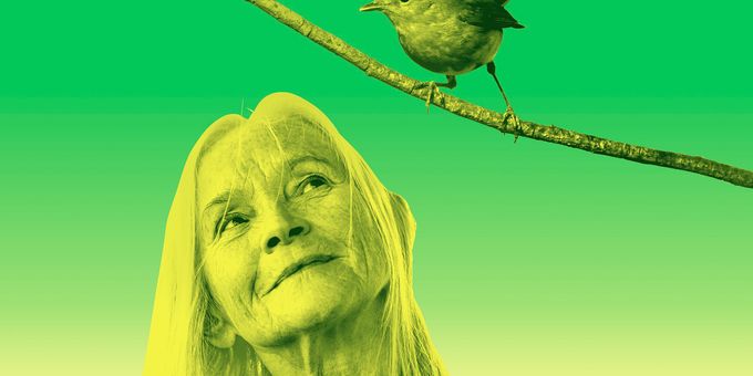 Cast Set For CARE By Alexander Zeldin at The Young Vic Photos