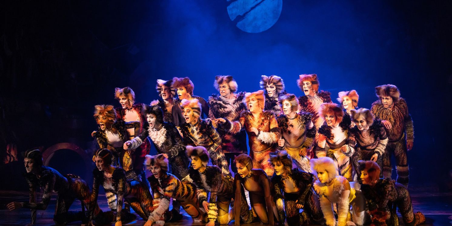 Cast Set For CATS The Musical in South Africa  Image