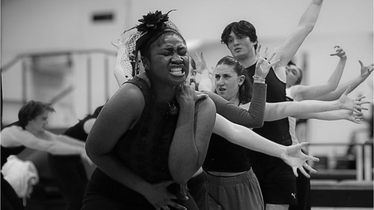 Cast Set For LAMTA's INTO THE WOODS