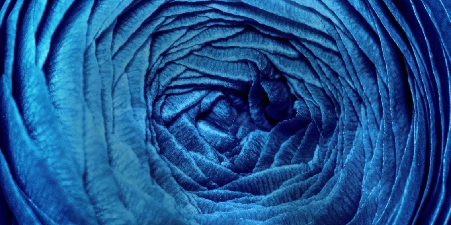 Cast Set For Signature Theatre's ORATORIO FOR LIVING THINGS  Image