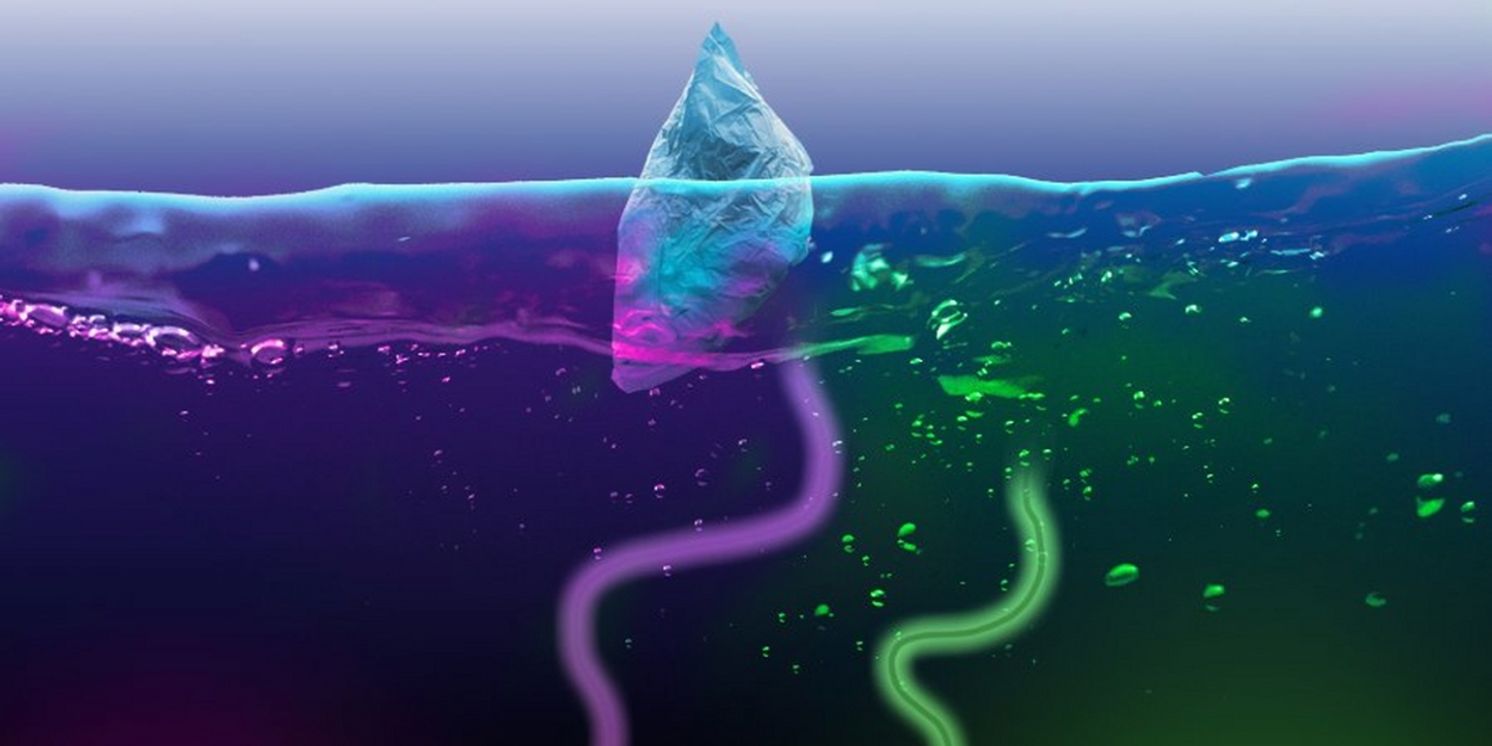 Cast Set for THE ICE AT THE END OF THE WORLD at Omnibus Theatre  Image