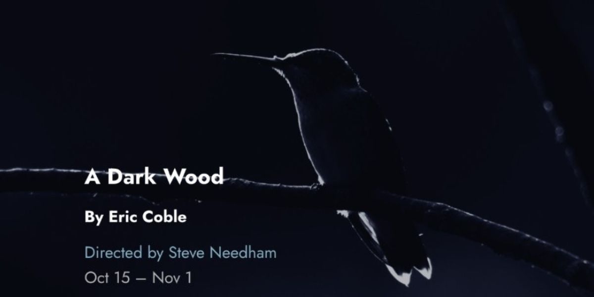 Cast and Creative Team Set For A DARK WOOD Chicago Premiere at Tin Drum Theatre Company