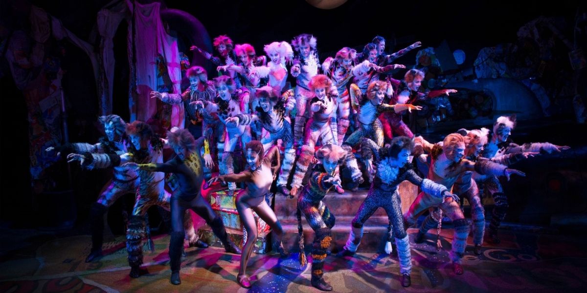 Cats Kommt Als Sommergastspiel 2025 Ins Linzer Musiktheater