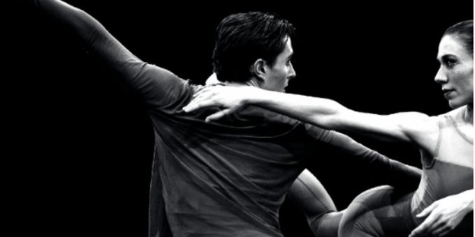 Chamber Dance Project to Present Final June Season Under Diane Coburn Bruning at Photos