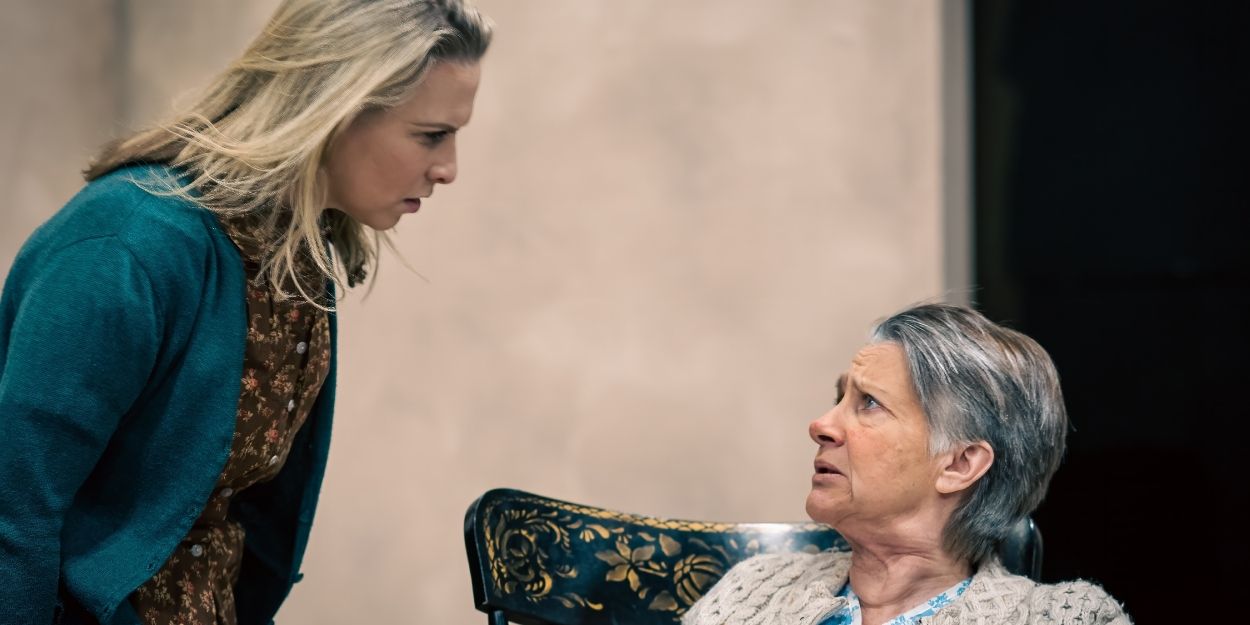 Chatham Players to Present Martin McDonagh's THE BEAUTY QUEEN OF LEENANE Next Month  Image