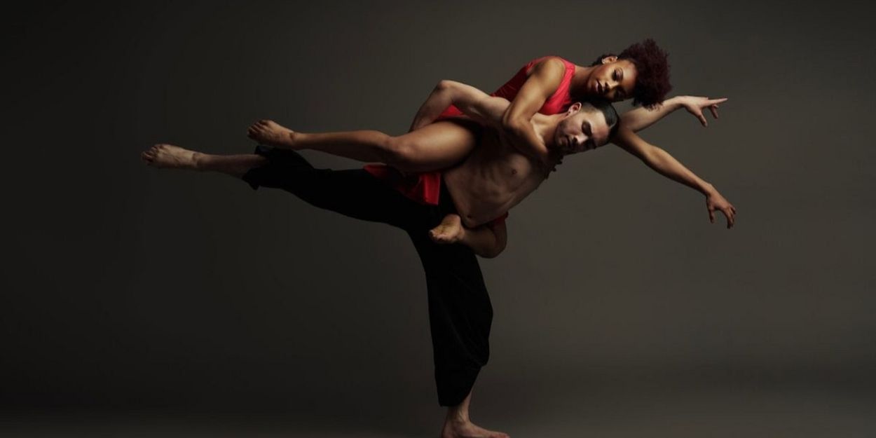 Chicago Dance Health Fund Announces DANCE FOR LIFE 2024 Program  Image