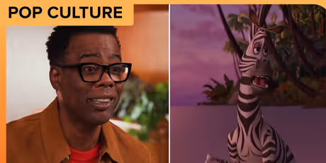 Chris Rock Jokes Divorce Is Reason He Wants Another MADAGASCAR Movie Photo