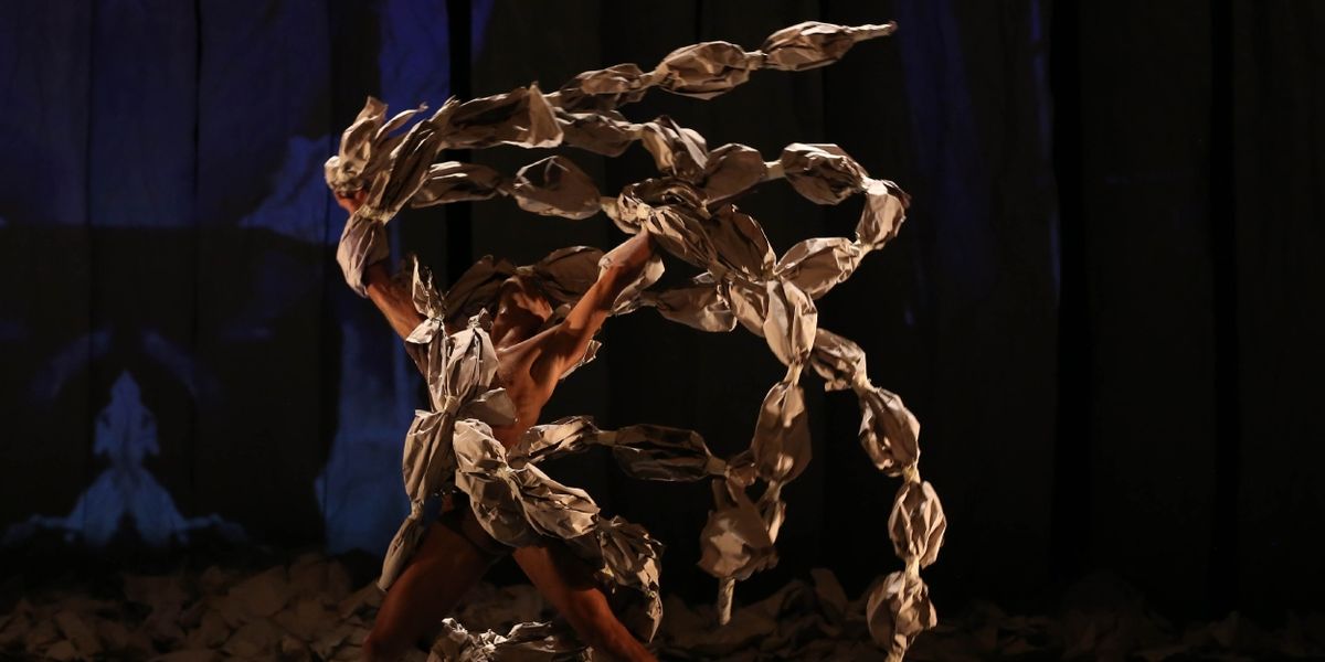Ciclo Coreografía Contemporánea De Brasil En México: Una MiraDa A La Diversidad Corporal Y Escénica Del País Sudamericano