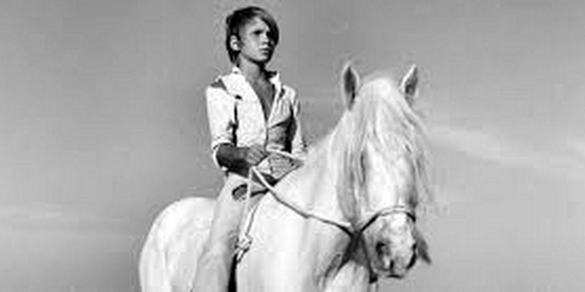 Cinema At L'Alliance New York to Present Screenings Of ZAA, THE LITTLE WHITE CAMEL & WHITE MANE
