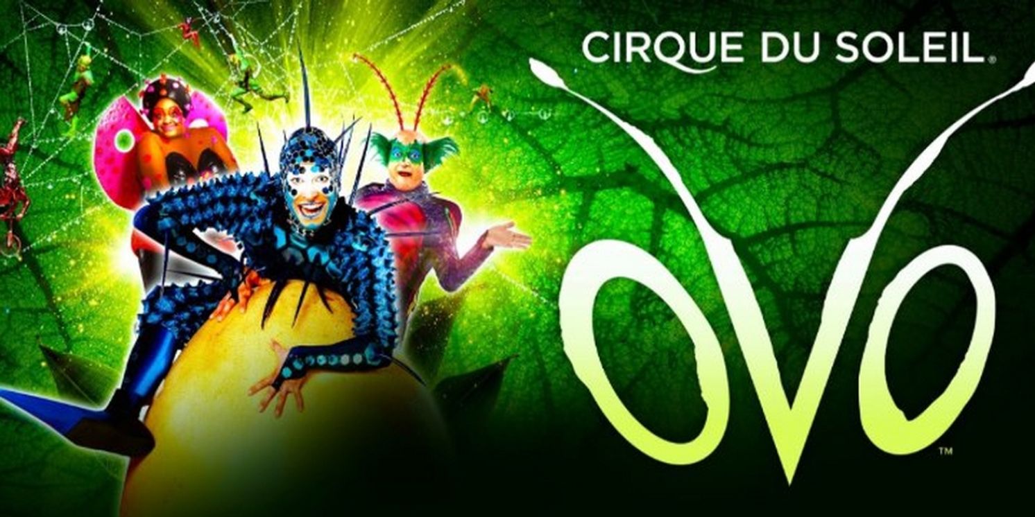 Cirque Du Soleil OVO Will Return on UK Tour  Image