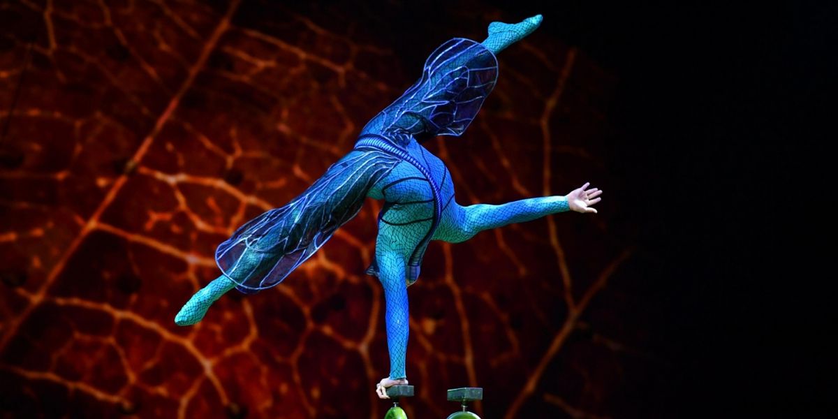 Cirque Du Soleil's OVO to Offer 25% Off Select Tickets For Hershey Engagement During Fall Sale