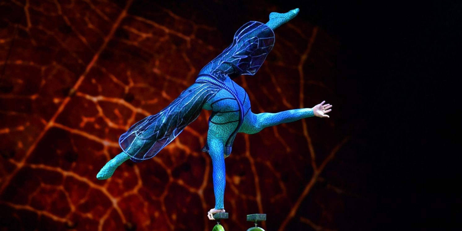 Cirque Du Soleil's OVO to Offer 25% Off Select Tickets For Hershey Engagement During Fall Sale  Image