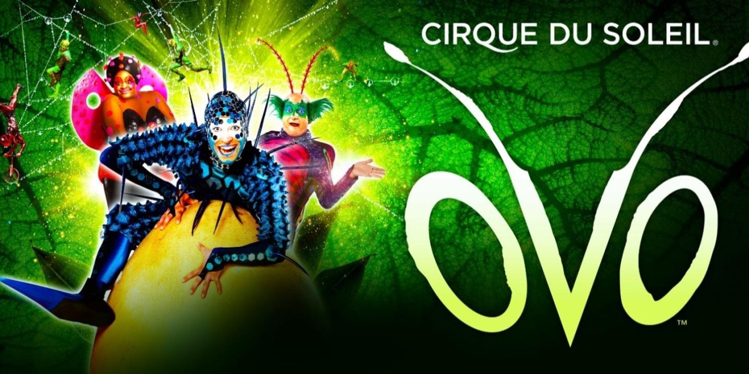 Cirque du Soleil's OVO Comes to Manchester in 2024  Image
