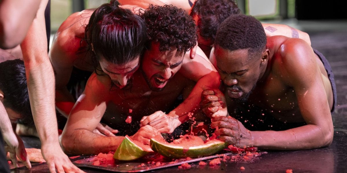 Con El Programa Bajo La Sombra De Alba, El Centro De Producción De Danza Contemporánea Dedica Homenaje A Rufino Tamayo