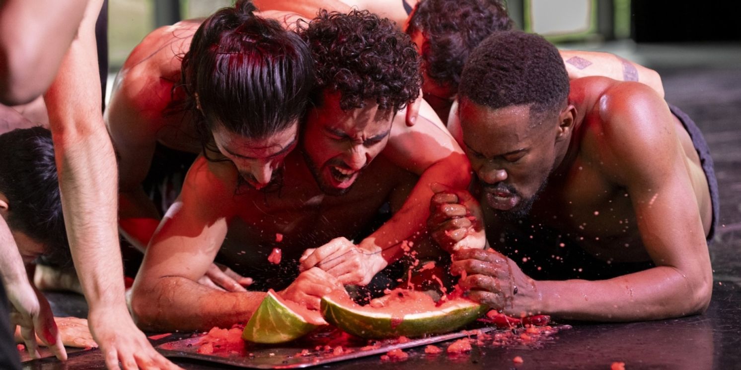 Con El Programa Bajo La Sombra De Alba, El Centro De Producción De Danza Contemporánea Dedica Homenaje A Rufino Tamayo  Image