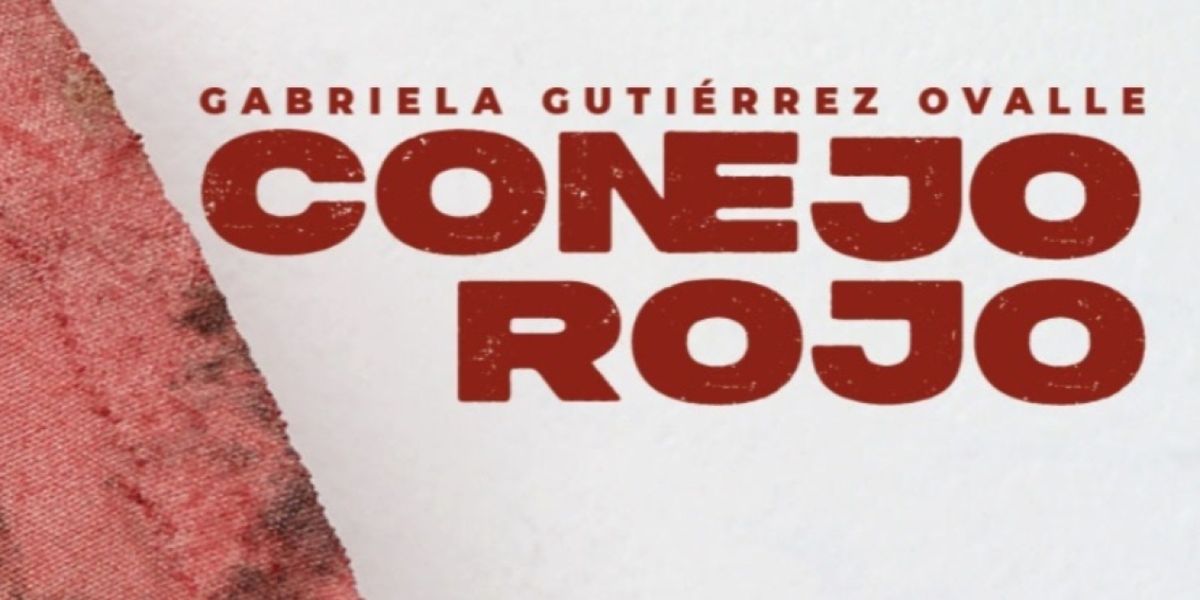 Con La Intervención Conejo Rojo En El Museo De Arte Moderno, Gabriela Gutiérrez Ovalle Modifica La Percepción Del Espacio