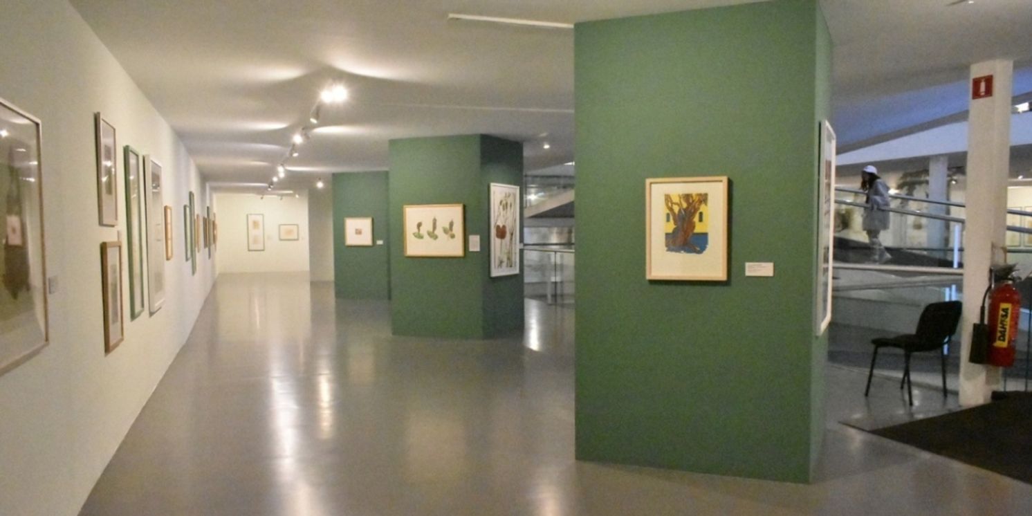 Con Recorrido Transversal, El MACG Reflexiona Sobre El Carácter Habitable De Los Museos  Image