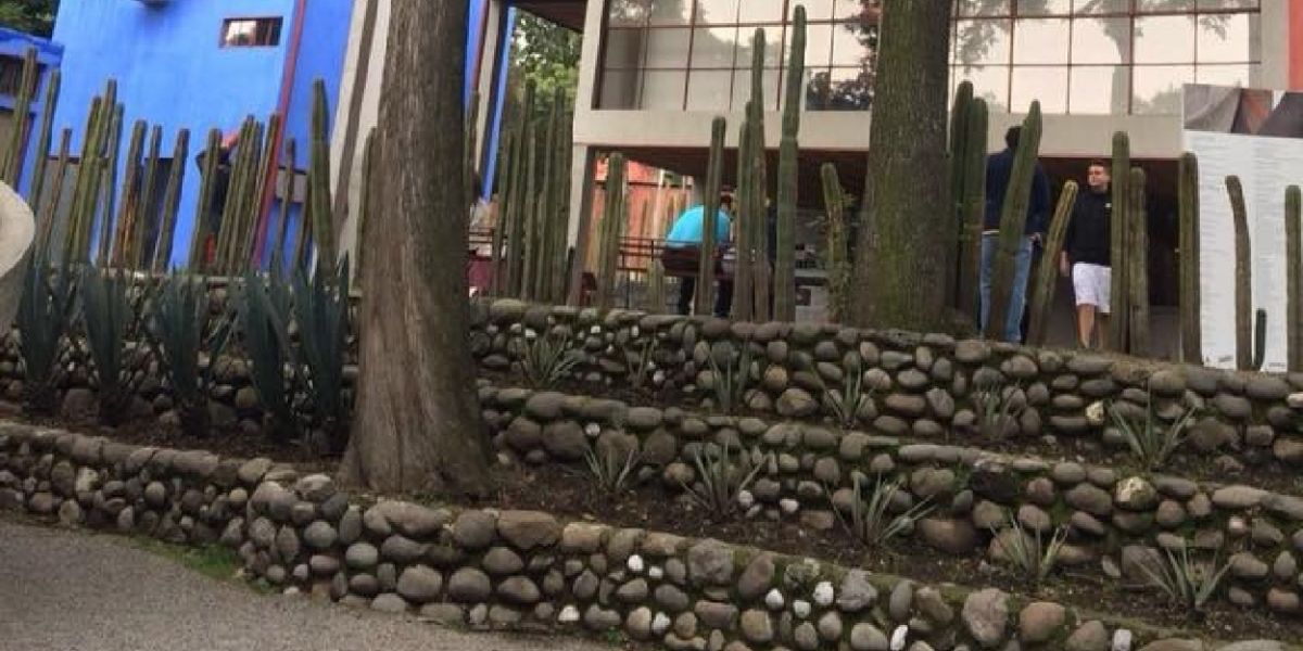 Conmemoran El 70 Aniversario Luctuoso De Frida Kahlo Con El Taller Árbol De La Esperanza