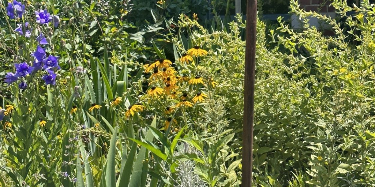 Connecticut Historic Garden Day 2024 To Take Place in June  Image