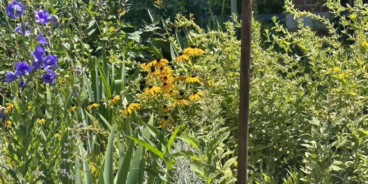 Connecticut Historic Garden Day 2024 To Take Place in June