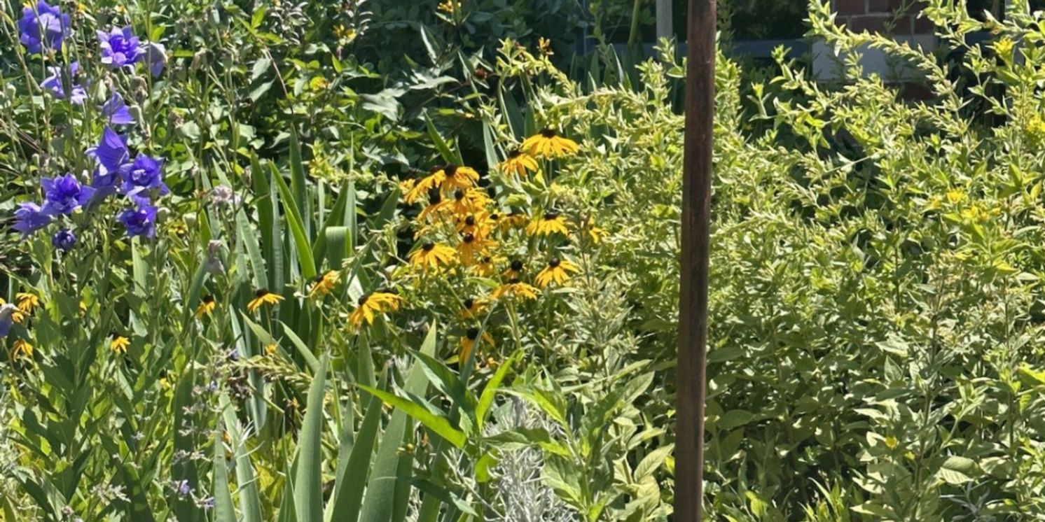 Connecticut Historic Garden Day 2024 To Take Place in June  Image