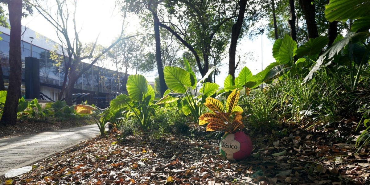 Continúa El Programa De Intervenciones En El Jardín Escultórico Del Museo De Arte Moderno Como Un Territorio Para La Experimentación Artística