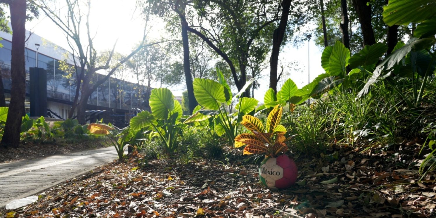 Continúa El Programa De Intervenciones En El Jardín Escultórico Del Museo De Arte Moderno Como Un Territorio Para La Experimentación Artística  Image