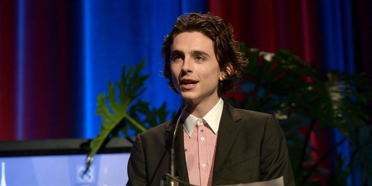 Could Timothee Chalamet Be Returning to the Stage Soon?  Image