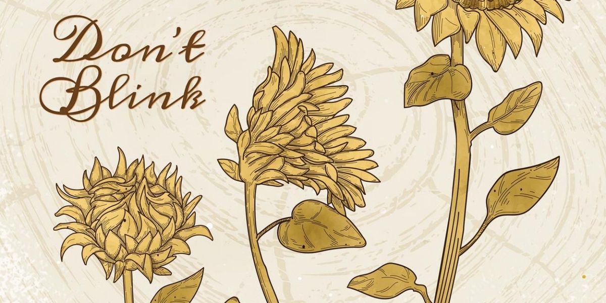 Crowes Pasture To Release 'Don't Blink' in September