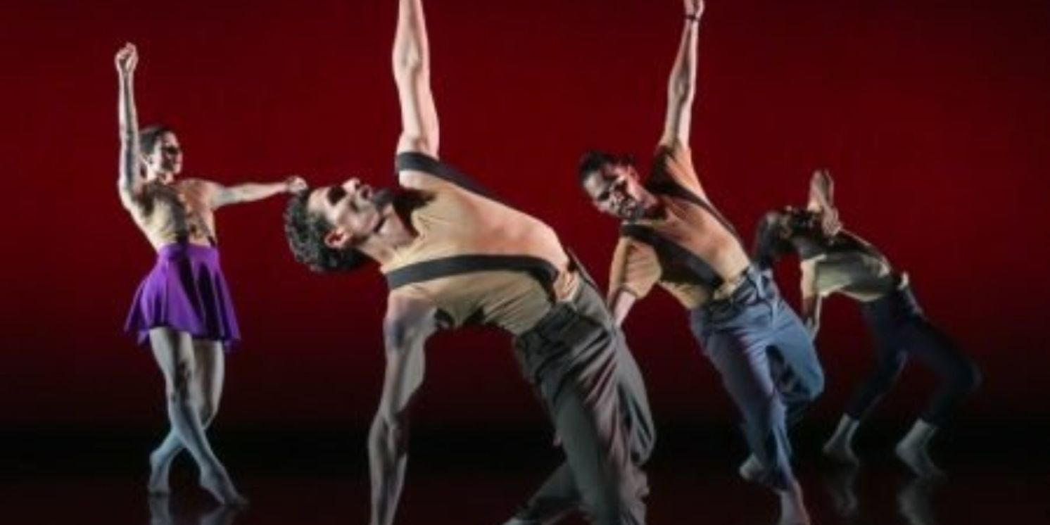 Cuba's Malpaso Dance Company Returns to Boston  Image