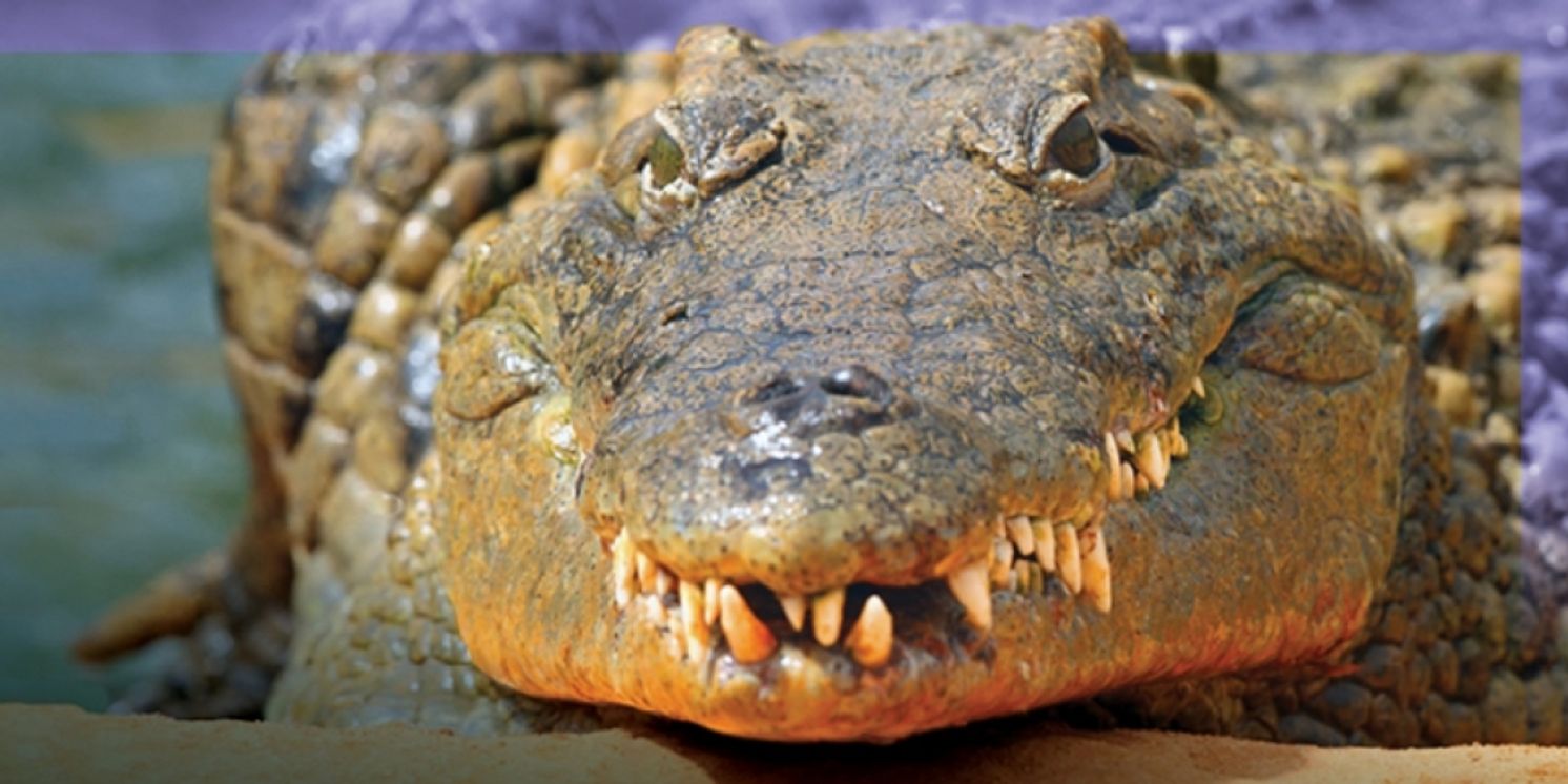 DADA TEEN MUSICAL: THE PLAY Comes to Central Works  Image