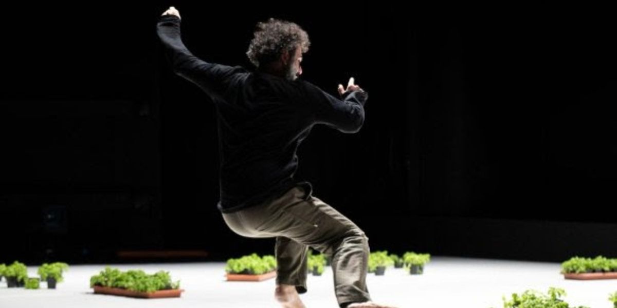 DANCE IS NOT FOR US to Make London Premiere at Barbican with Dance Umbrella