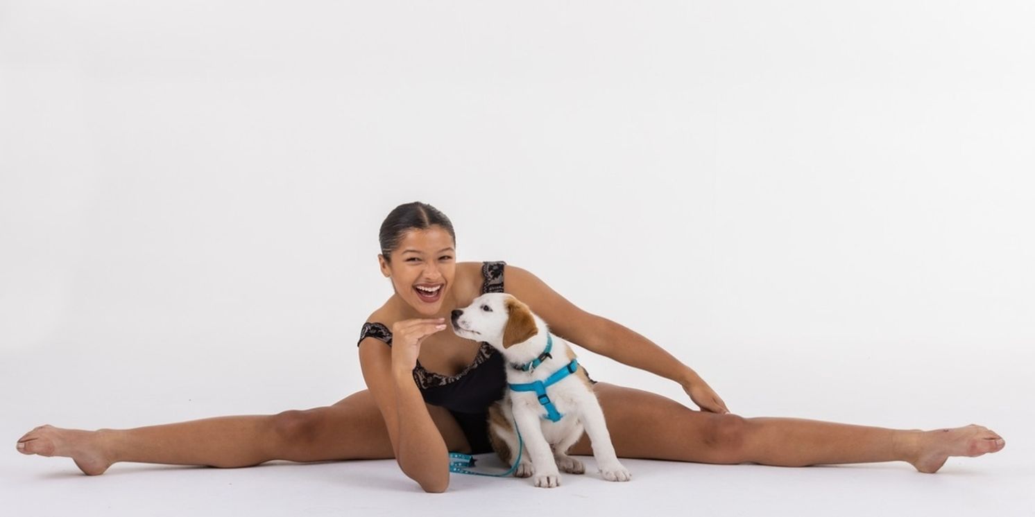 DANCERS LOVE DOGS to Return to Artscape, Emcee'd by Alan Committie  Image
