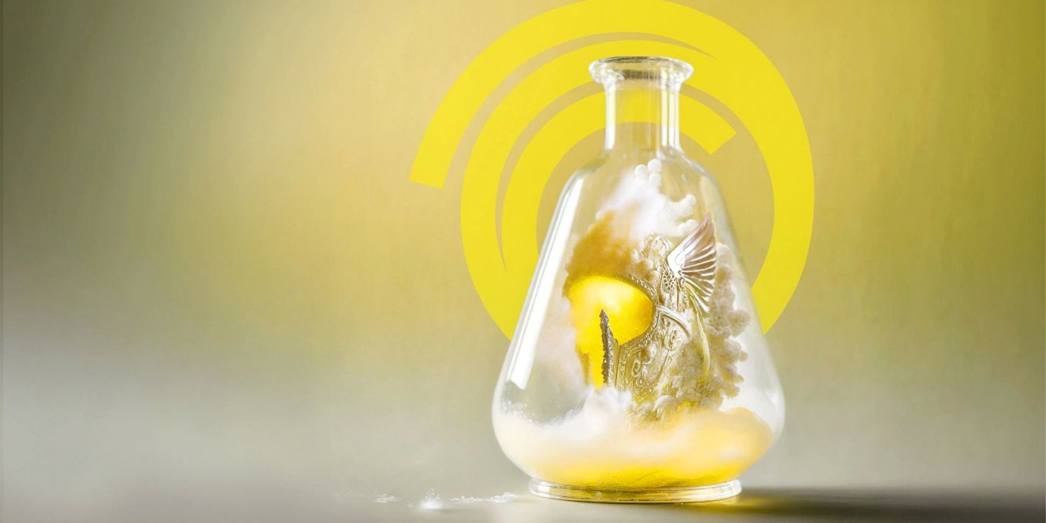 DIE WALKURE Comes to the National Theatre in Prague This Month  Image