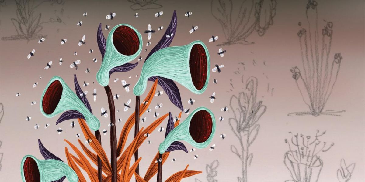 DIONÉE Releases New Album MILLE-FEUILLES, Blends Post Rock and Jazz