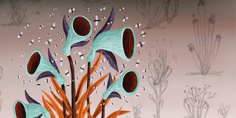 DIONÉE Releases New Album MILLE-FEUILLES, Blends Post Rock and Jazz Photo