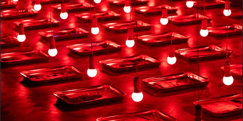 LA Art Show to Return to the LA Convention Center This Winter Photo