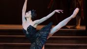 DIVERSION OF ANGELS to Premiere in South Africa at SANDT Legacy of Dance Gala Photo