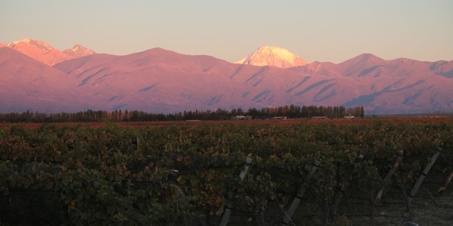 DOMAINE BOUSQUET for Superb Cabernet Wines  Image