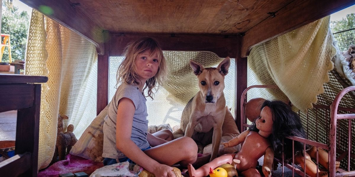 DON’T LET’S GO TO THE DOGS TONIGHT Sets 2025 Release Date