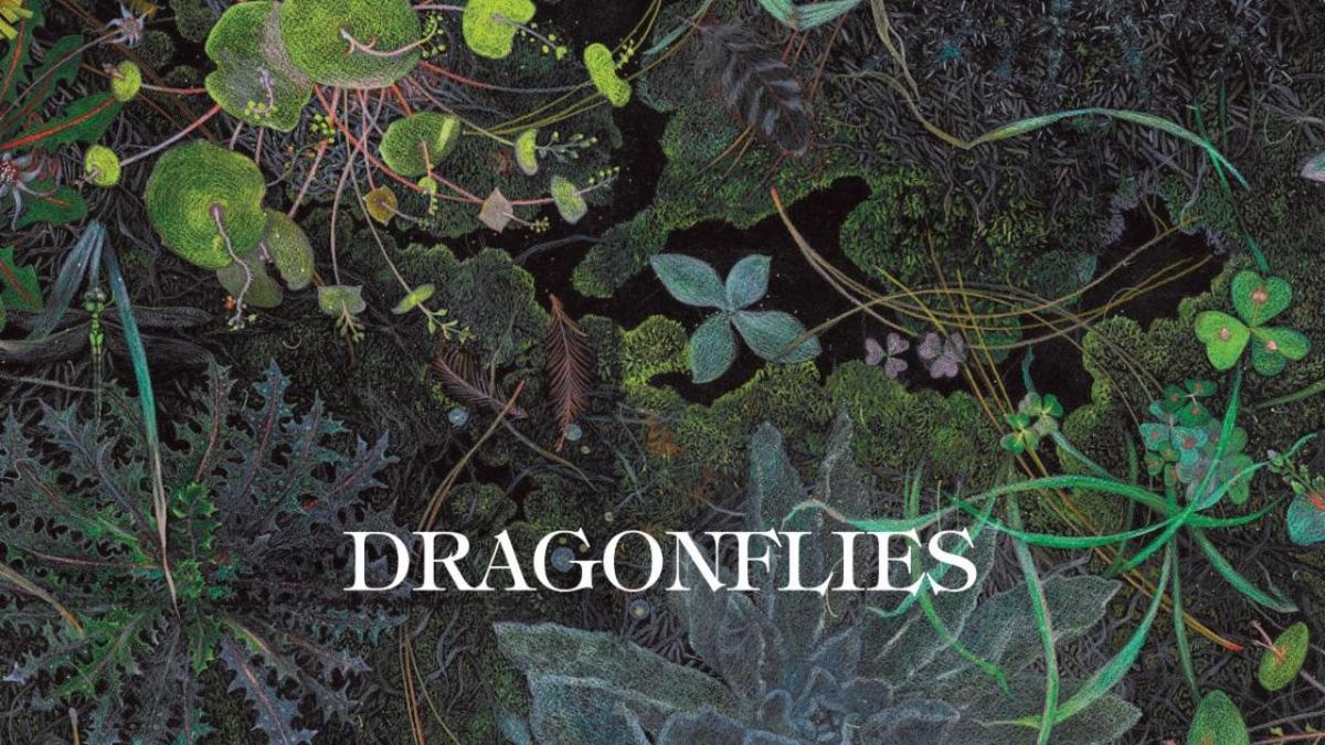 DRAGONFLIES Release Self-Titled Debut Album, Perform on Jimmy Kimmel Live!