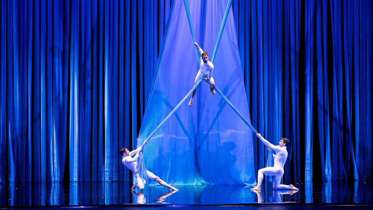 DUCK POND to Make McCallum Theatre Debut