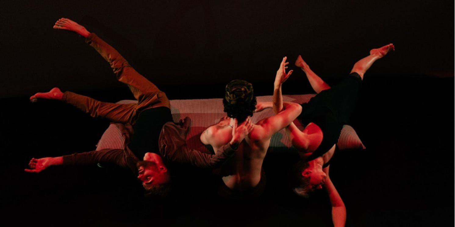 Dance Cork Firkin Crane Reveals Summer/Autumn 2025 Season  Image