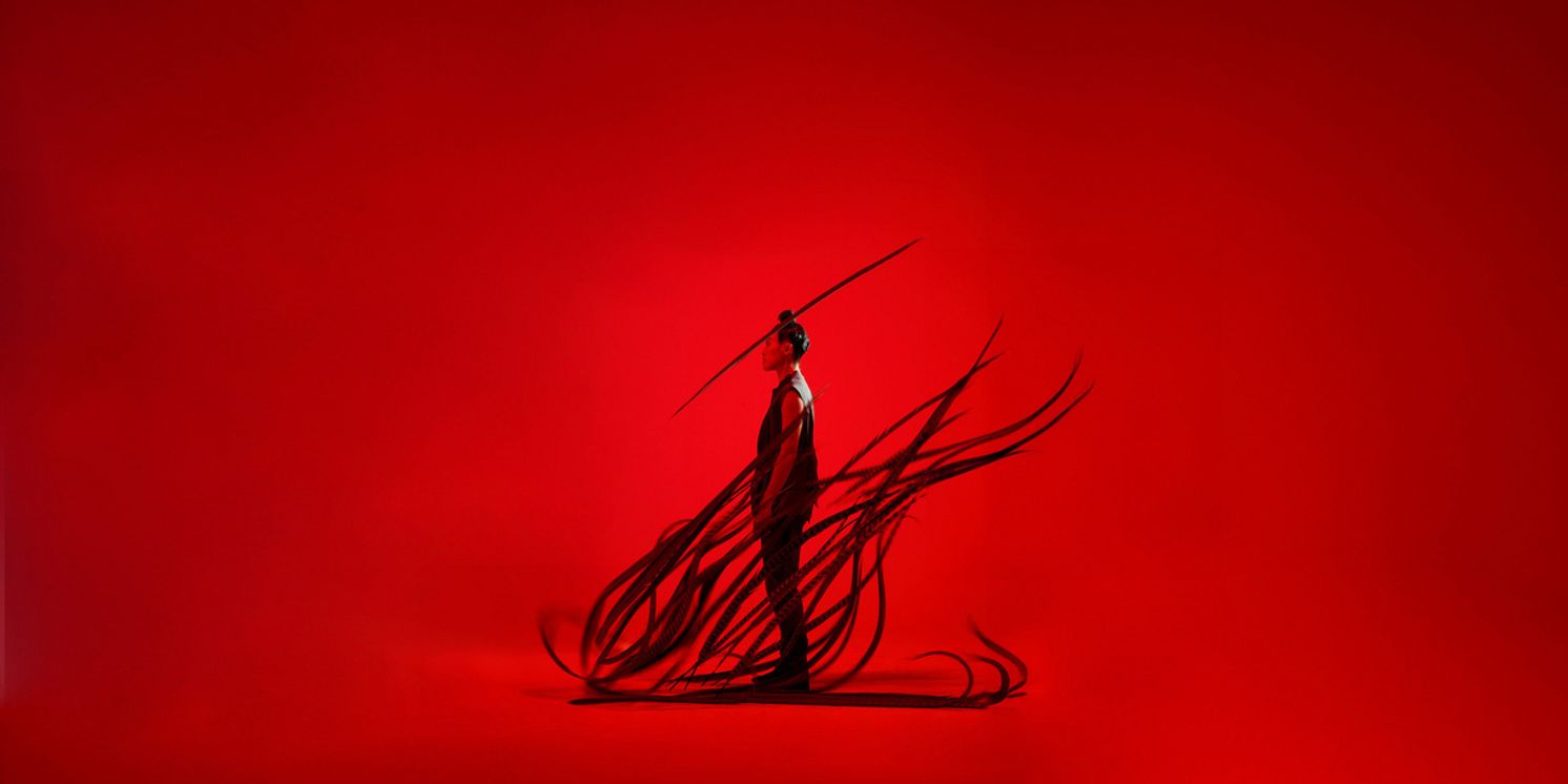 Dancehouse Will Present Hung Dance In BIRDY Vancouver Premiere  Image