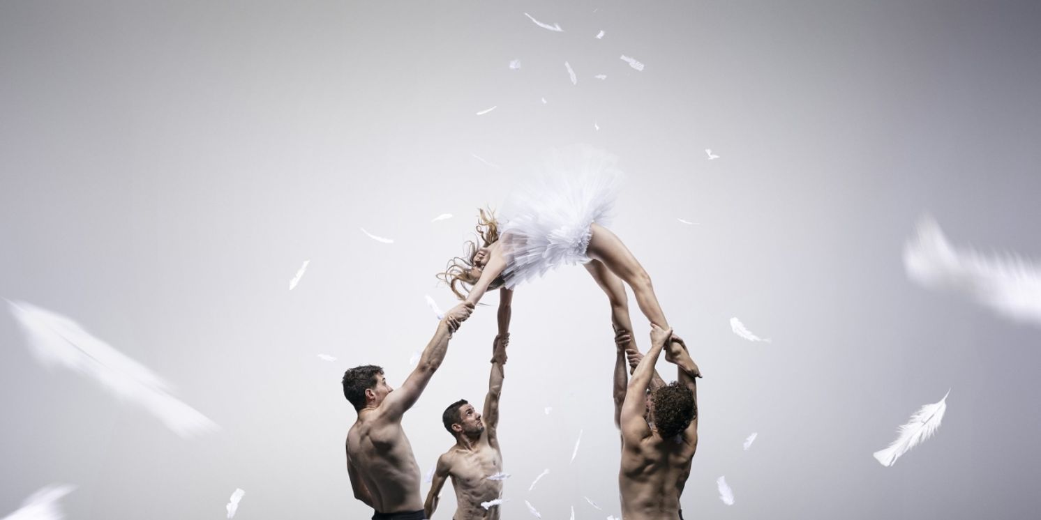 DanceHouse and The Cultch Will Present Circa's DUCK POND  Image