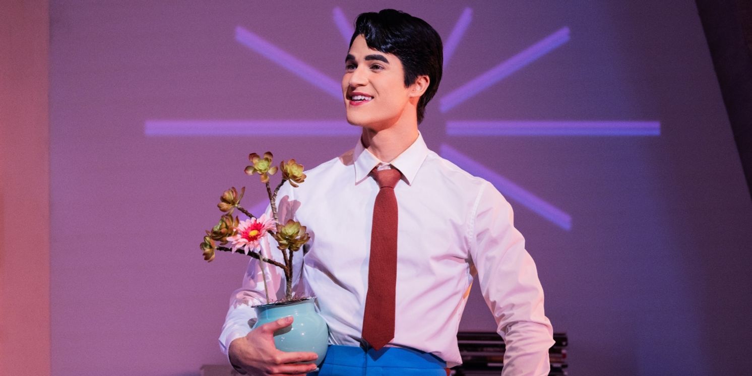 Darren Criss Will Return to MAYBE HAPPY ENDING  Image