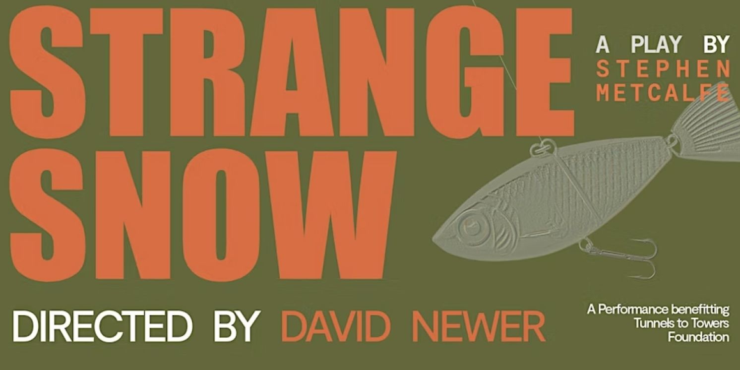 David Newer Will Direct Stephen Metcalfe's STRANGE SNOW at Ivy Crest Theatre Co.  Image