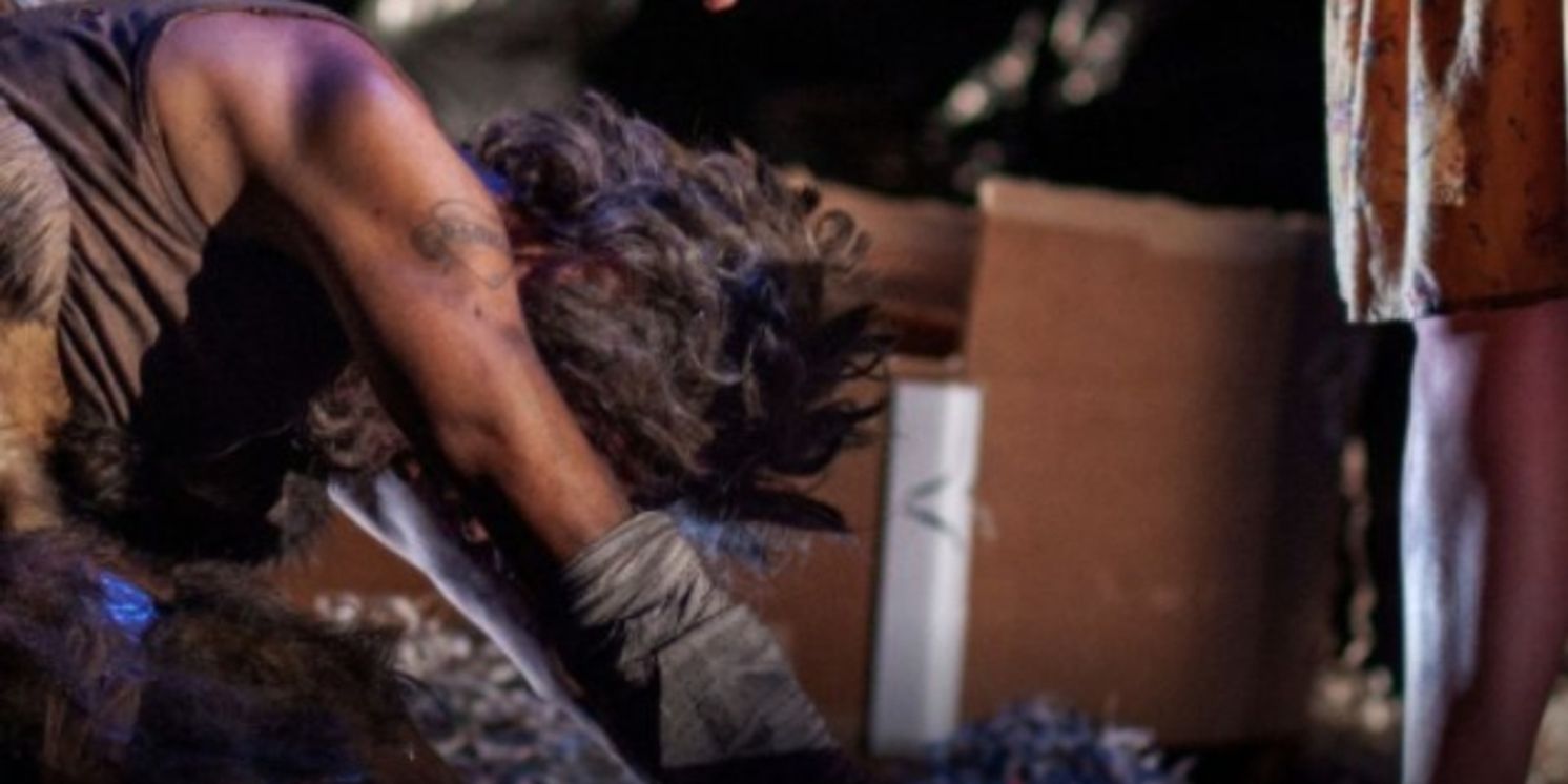 David T. Little And Royce Vavrek's Opera DOG DAYS Recording Out Now  Image